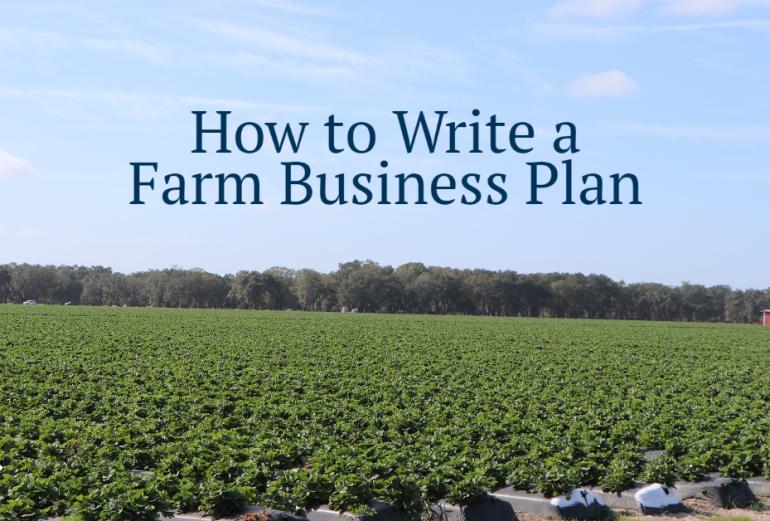 how to build a farm business plan