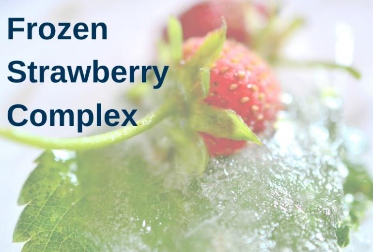 Strawberry's Frozen