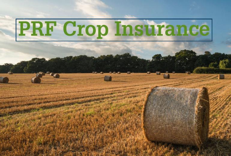 farm insurance california