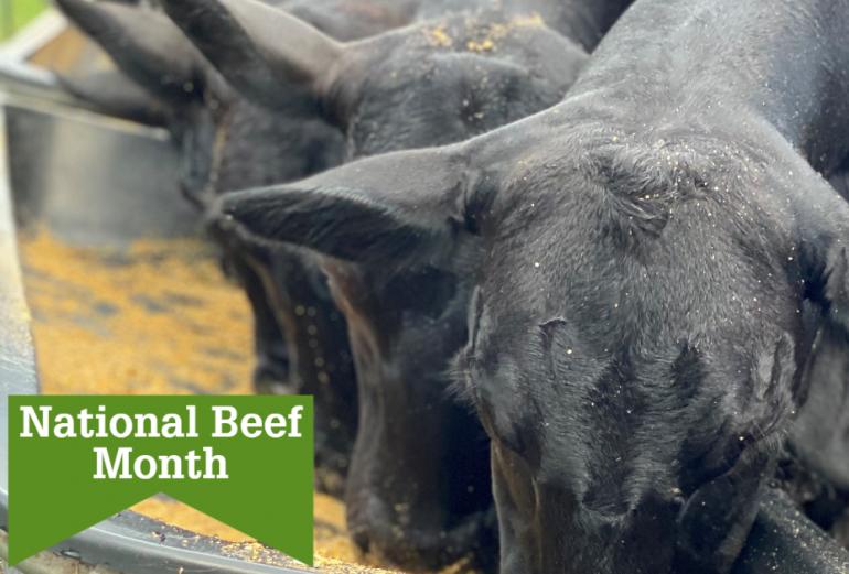 National Beef Month Farm Credit of Central Florida